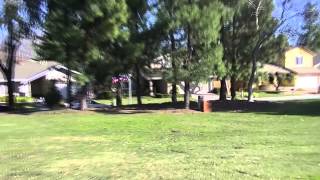 My first successful Naza-M + FlameWheel 450 flight
