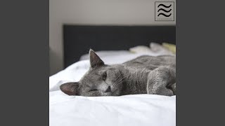 Spiffy soft sleep noise screenshot 2