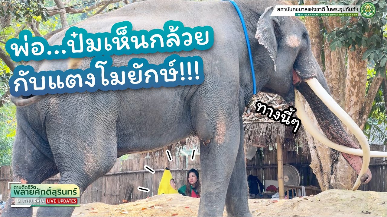 ตามติดชีวิต 