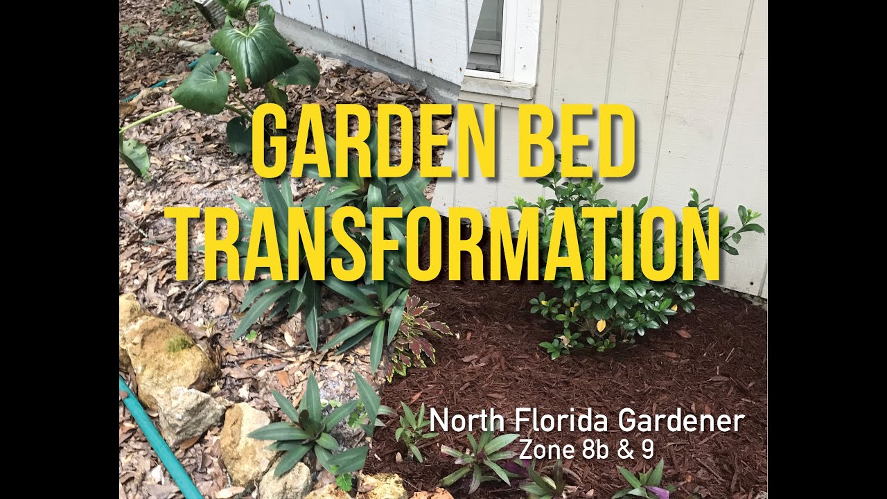 Zone 8b & 9 Garden Bed Transformation YouTube
