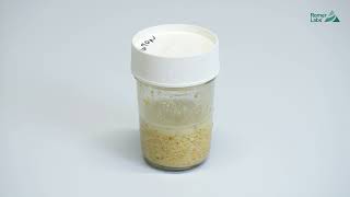 Screening for GMO in Bulk Grain: A Simple On Site Workflow