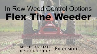 Flex Tine Cultivator  In Row Weed Control Options