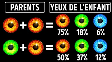 Pourquoi les cheveux sont bruns ?