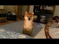 寝る前にお出かけの約束して、朝起きてみると。