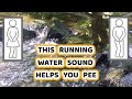 The Best Water Sounds To Help You Pee (Guaranteed)