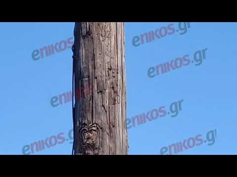 enikos.gr - Φωτιά στην Αιτωλοακαρνανία