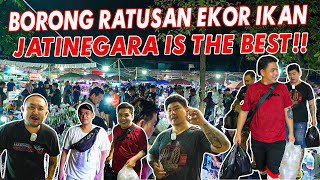 BUY AGAIN!! BUY HUNDREDS OF PREDATORY FISHES IN JATINEGARA ORNAMENTAL FISH MARKET.​