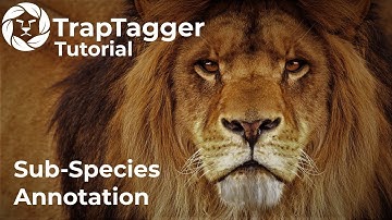 TrapTagger: Sub-Species Annotation