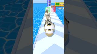 Eyes About Their Evolution