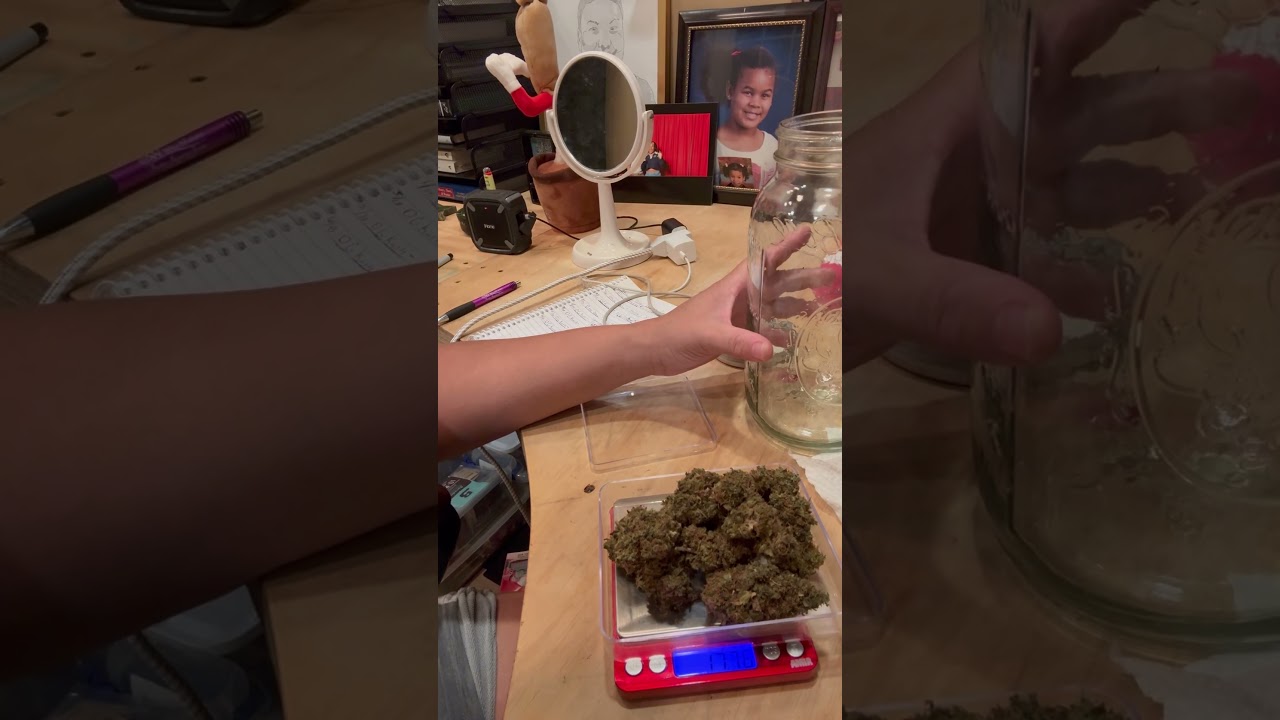 Weighing the last round of OG Kush clone & Blueberry Kush