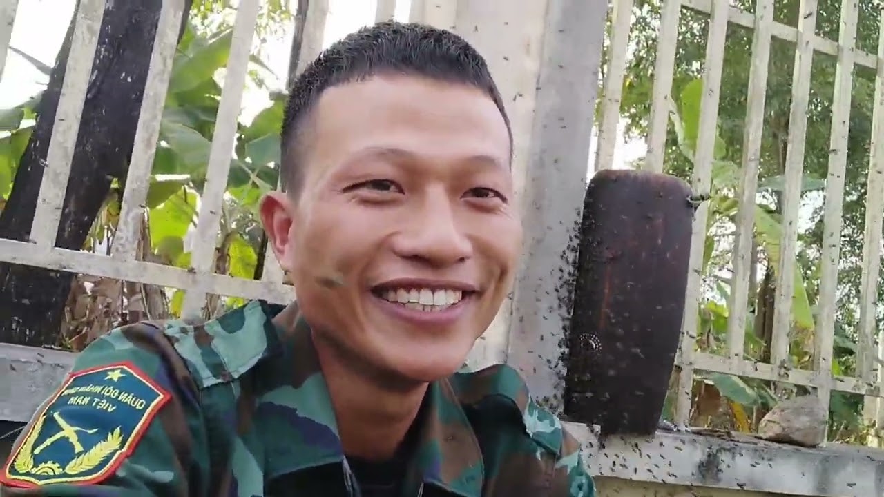 Buổi bắt ong soi với bầy ong khó tính 