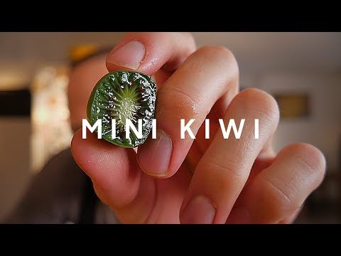 Video: Aké Výhody Má Kiwi Ovocie Pre ženy