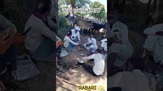 Rabari ✨ #rabari #samaj #attitude #song #jaymindabhoda #viral #trending #explore #page #rabari