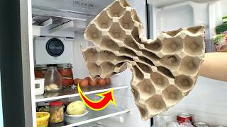 💡 I Tried This Egg Carton Trick and It Worked! 30 Smart Tips to Make Everyday Life Easier
