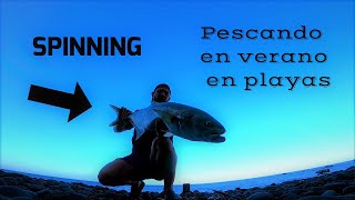 Buscando Anjovas Desde Playa Spinning En Canarias