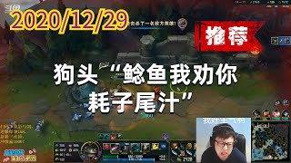 东北大鹌鹑1229P2塔姆（推荐）：狗头“鲶鱼我劝你耗子尾汁”