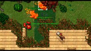 Tibia Pk Askara Part  1]
