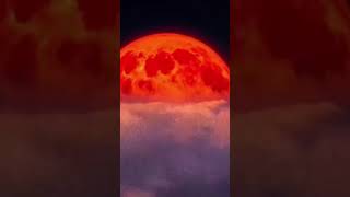 Yourii - Ради чего? Дроп трека 21.02.2025 #music #musicvideo #shortvideo #tiktok #музыка #трек