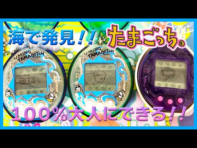 たまごっち育成動画】（再投稿）海で発見‼︎たまごっち最終回