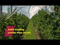 ICAP India Cooling Action Plan II Current Affairs NTA NET 2021