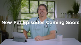 VetVid = Dog and Cat health care videos to keep your pet at their best! by VetVid 752 views 3 years ago 31 seconds