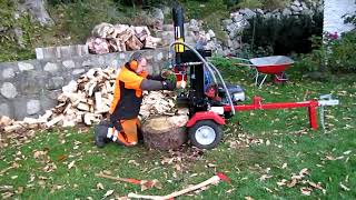 Troy Bilt Logsplitter 27 Ton