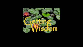 Getting Wisdom 25 by Getting Wisdom 9 views 9 months ago 12 minutes, 59 seconds