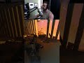 No way this guy thought this would happen