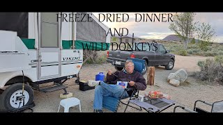 Goodale Creek Camp Out by Boonie Buster 17 views 18 hours ago 24 minutes