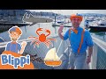 Blippi Visits The Marine Life Centre | Blippi Learns About Sea Animals | Educational Videos For Kids