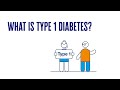 What is type 1 diabetes  2 minute guide  diabetes uk