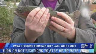 TWRA restocking Fountain City, Greenbelt lakes with rainbow trout