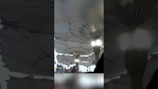Jab pehli nazar meri #viral #shortsvideo #foryou #shorts #fyp #trending