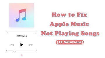 How to Fix Apple Music Not Playing - ViWizard
