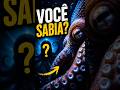 VOCÊ NÃO VAI ACREDITAR NESSE SEGREDO DO POLVO 😳🐙