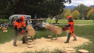 Husqvarna 572 Xp Vs. 576 Xp