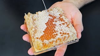 Honeycomb Taste Test