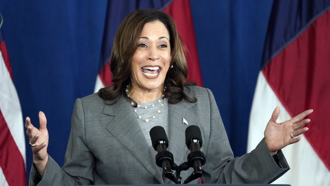 ‘Demented hyena on steroids’: Kamala Harris roasted over ‘failings’ as