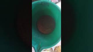 ම දවස වලට ගලපනම ත එකකරණවර මල තRanawaramal Teajaiandrashvlogs