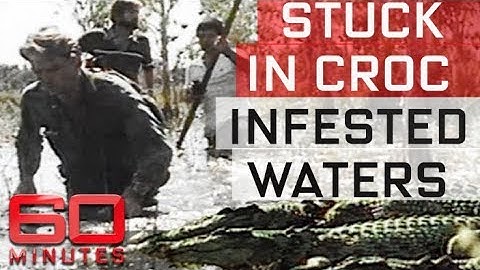 TV crew stuck in croc infested waters | 60 Minutes Australia