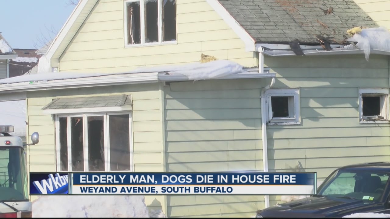 Elderly man, dogs die in house fire - YouTube