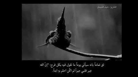 اجمل حالات واتسأب القارئ نايف الفيصل😴❣حالات واتس اب دينية تلاوة خاشعة🍃