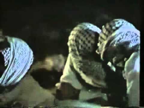 كل السلق الي بالشعيب يطلعون