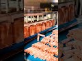 Advanced High-Speed Automatic Wafer Roll Cutting Machine for Commercial Snack Plants