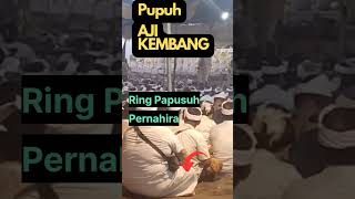 PUPUH AJI KEMBANG MAPRALINA by Grado @grbc19 #shortvideos #kidungbali #geguritan