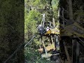 ASV RT 135 In Action!!! #defensiblespace #landclearing #asv