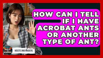 How Can I Tell If I Have Acrobat Ants Or Another Type Of Ant? - Insects and Invaders