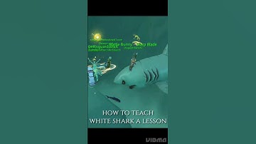 How to teach whiteshark a lesson 🤣🤣 | utopia: origin #utopiaorigin #survivalgame