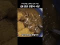 일본 경찰서 식당. 후쿠오카 여행 맛집 추천