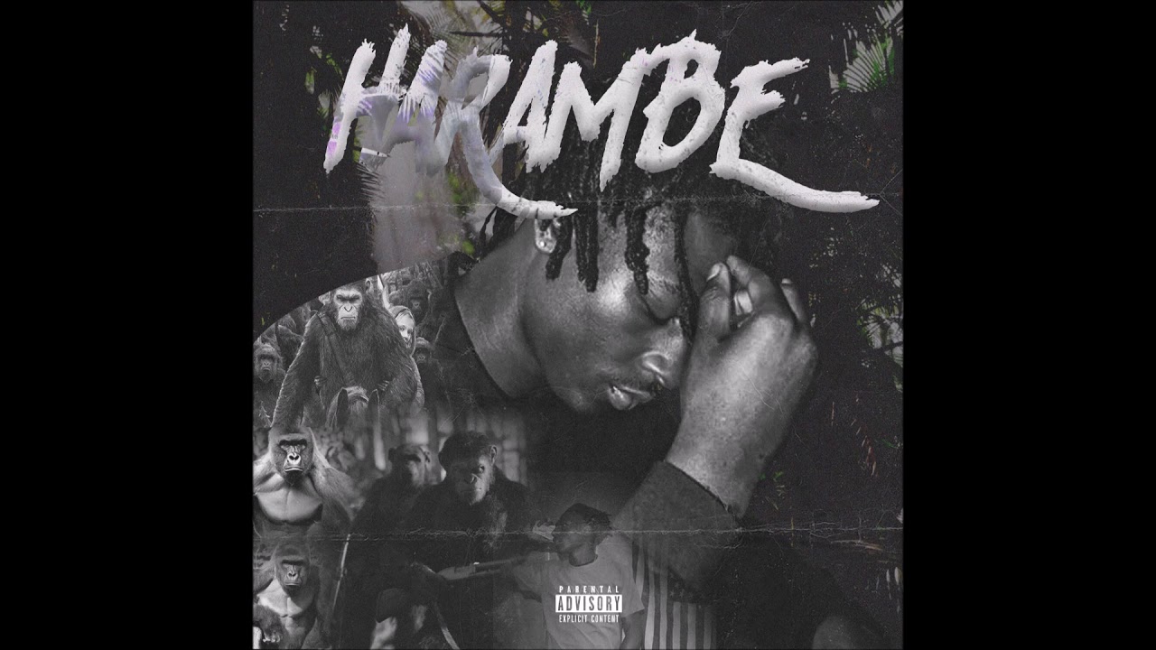 gorilla  slim- On Purpse/Outro